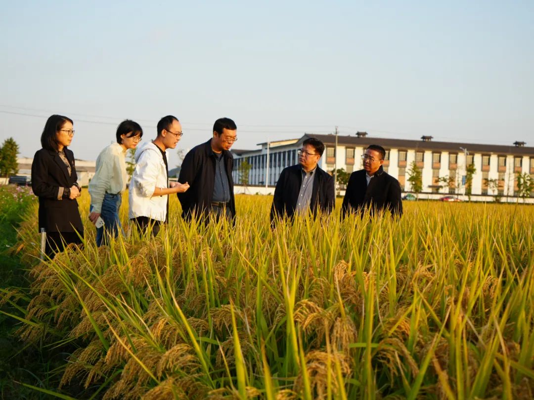 1754531433982721.jpg 640 (1).jpg