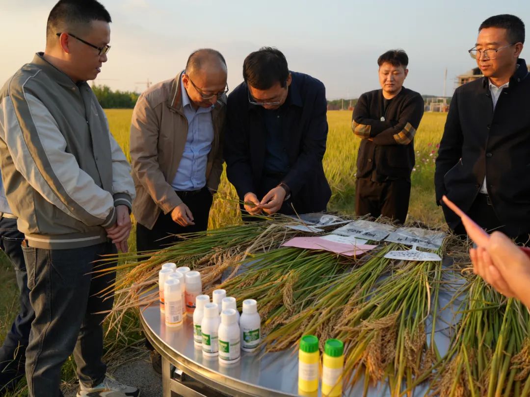 1754531452230685.jpg 640 (2).jpg